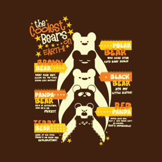 The Coolest Bears
