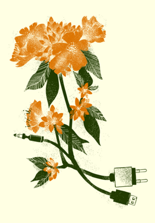 Digital Spring