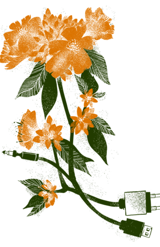 Digital Spring