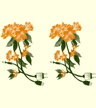 Digital Spring