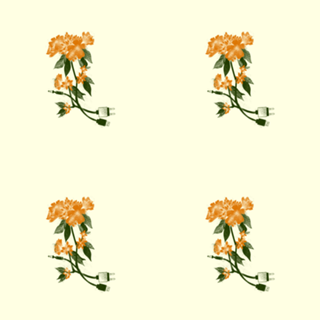 Digital Spring