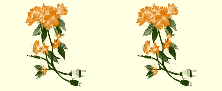 Digital Spring