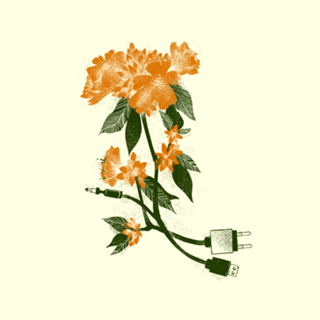 Digital Spring