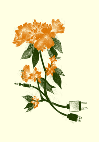 Digital Spring