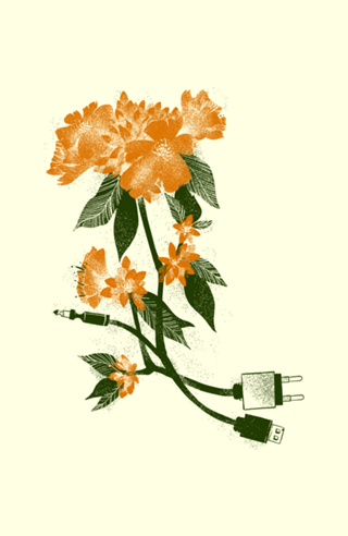 Digital Spring