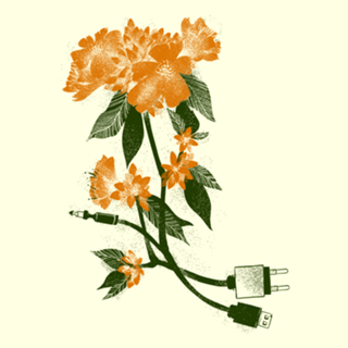 Digital Spring