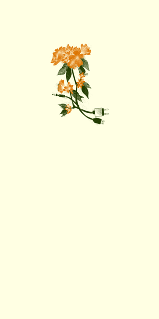Digital Spring