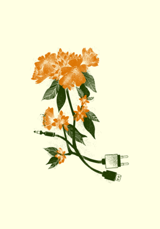 Digital Spring