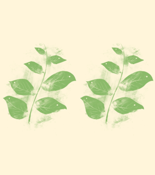 Flying Leaves