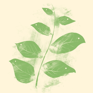 Flying Leaves