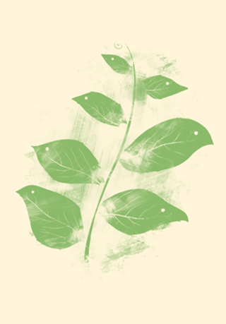 Flying Leaves
