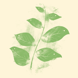 Flying Leaves