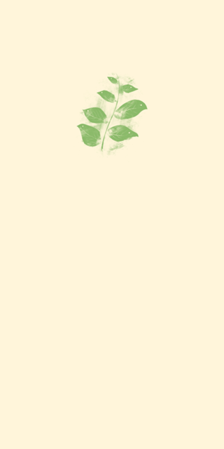 Flying Leaves