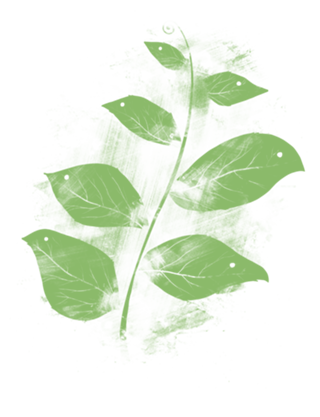 Flying Leaves