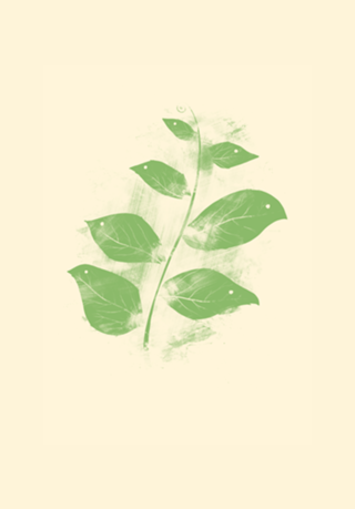 Flying Leaves