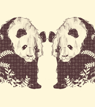 Brand New Panda