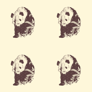 Brand New Panda