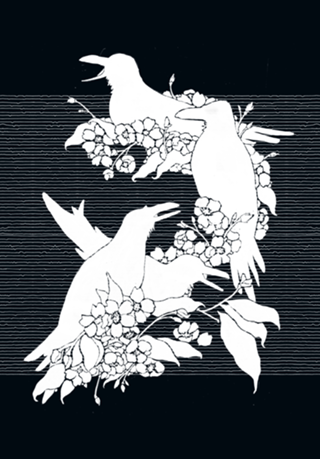 The Black Crows