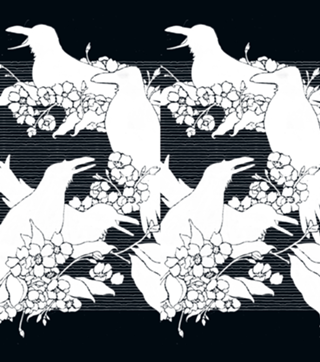 The Black Crows