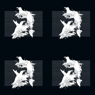 The Black Crows