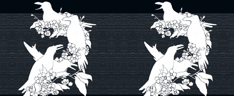 The Black Crows