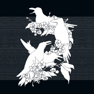 The Black Crows