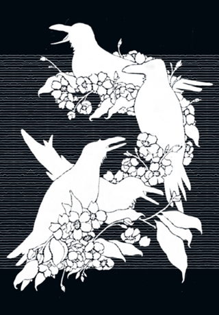The Black Crows