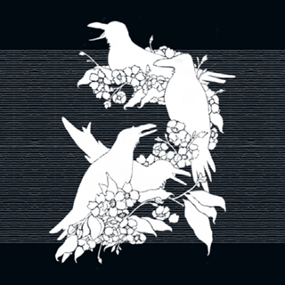 The Black Crows