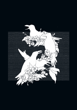The Black Crows