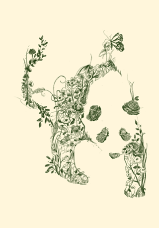 Sketch of Nature