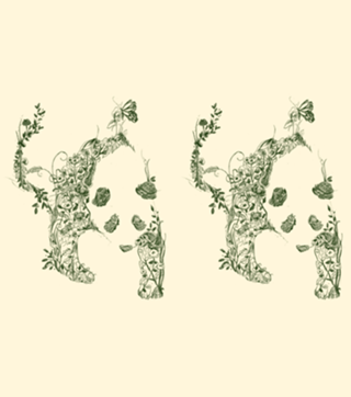 Sketch of Nature