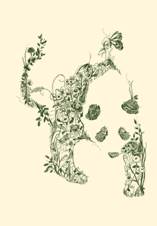 Sketch of Nature
