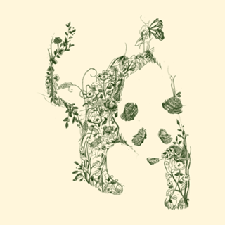 Sketch of Nature