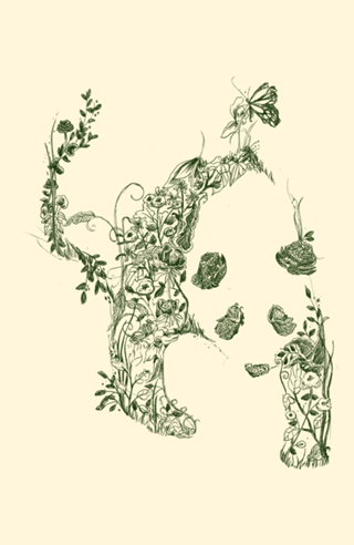 Sketch of Nature