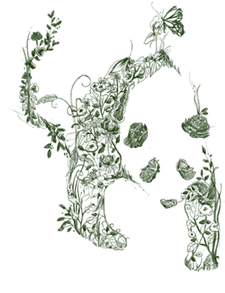 Sketch of Nature