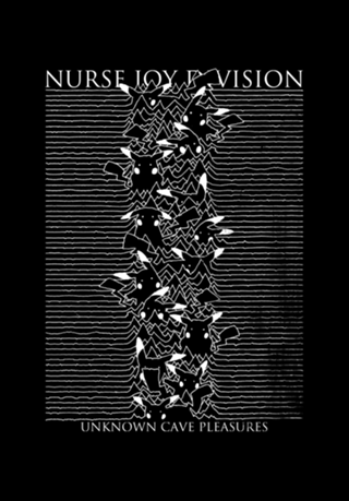 Nurse Joy Division