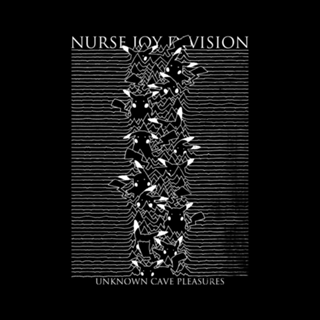 Nurse Joy Division