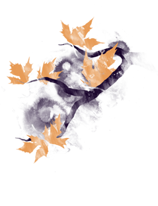 Autumn Butterflies
