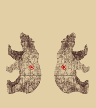 Bearlin