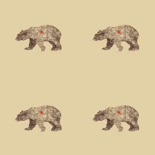 Bearlin