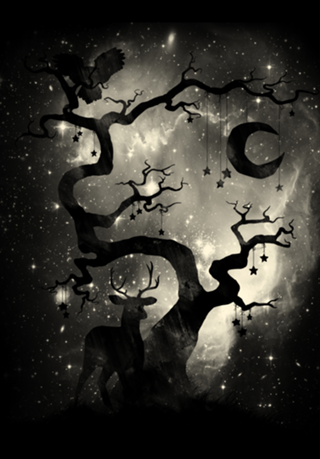 Stardust Forest