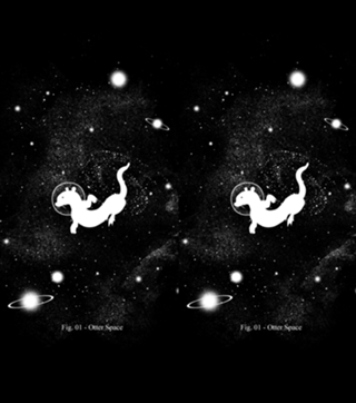 Otter Space