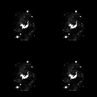Otter Space