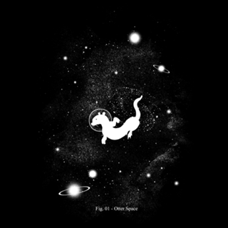 Otter Space