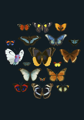 Entomology