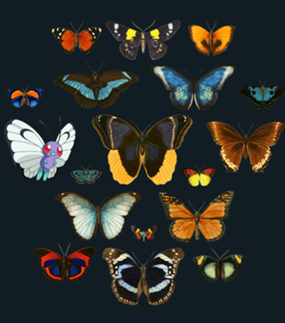 Entomology