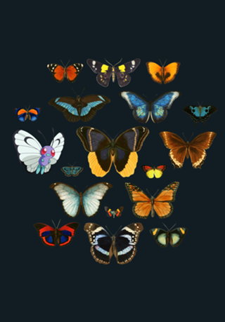 Entomology