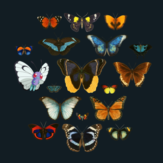 Entomology