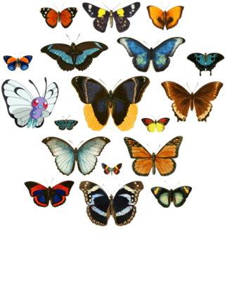 Entomology