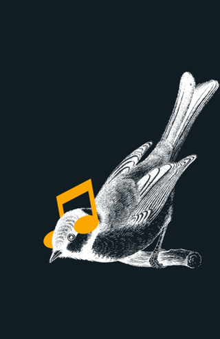 Listening to your heart